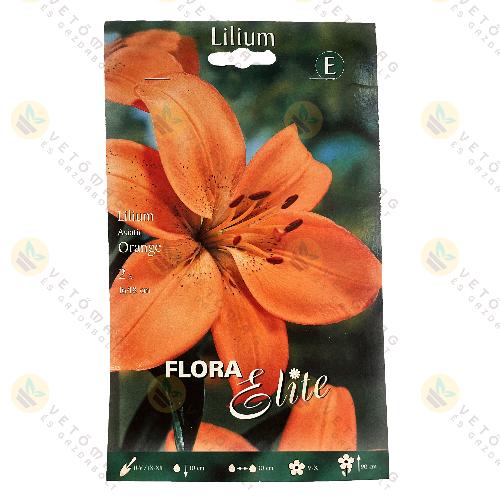 Liliom Ázsiai / Orange / 2 db