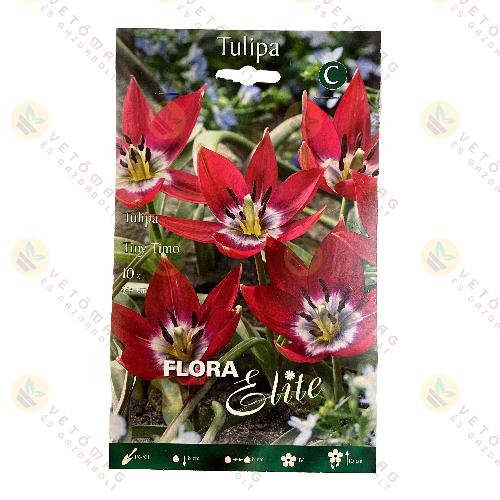 Tulip�n T�rpe / Tiny Timo / 10 db