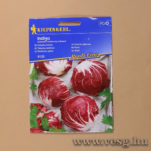 Saláta / Radicchio Indigo / 1 csomag