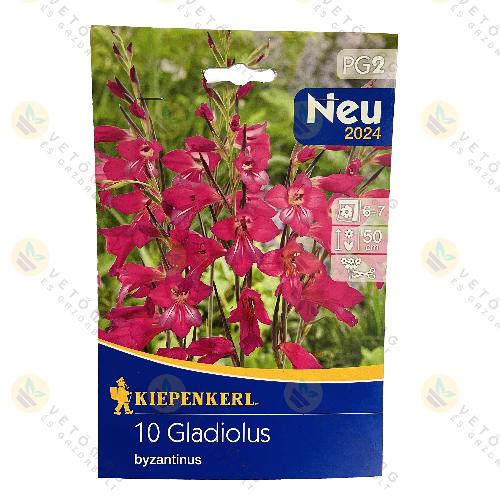 Bizánci Kardvirág 10 db