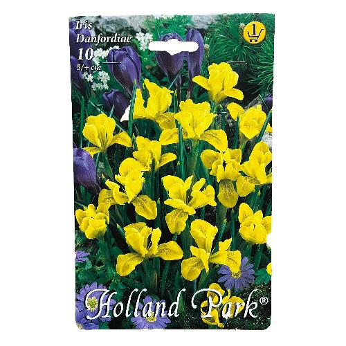 T�r�k N�szirom 10 db