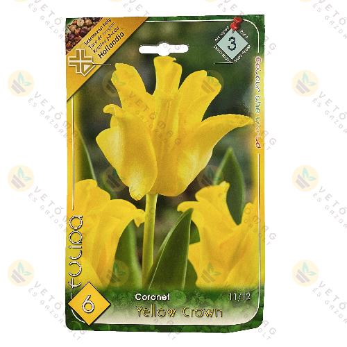 Tulip�n - Yellow Crown 6 db