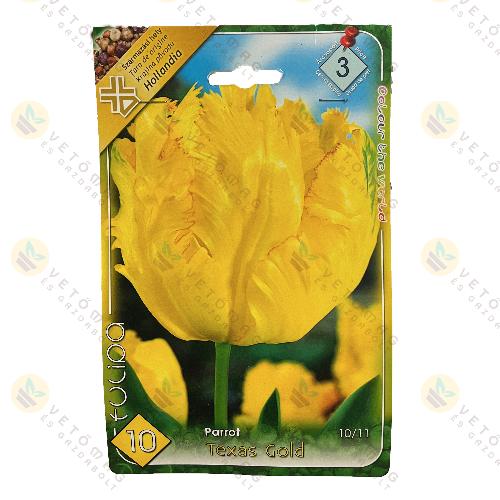 Tulipn - Texas Gold 7 db
