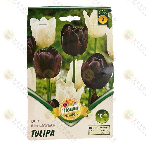 Tulip�n Duo - Black and White 6 db