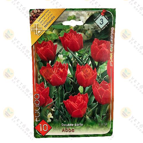 Tulip�n - Abba 10 db