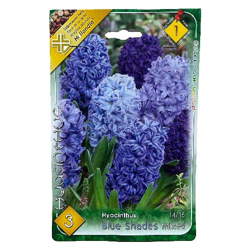 Jcint - Blue Shades 3 db