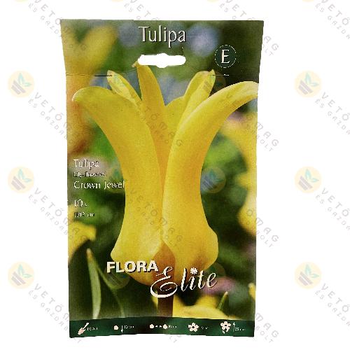 Tulipn / Crown Jewel / 10 db