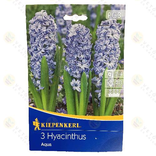 J�cint / Aqua / 3db