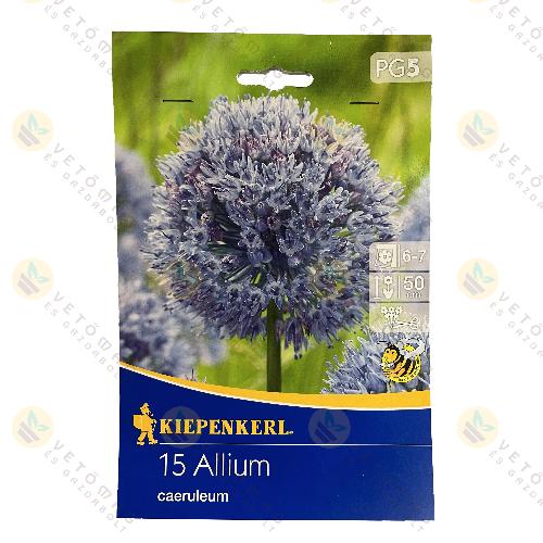 Díszhagyma / Caeruleum / 15 db
