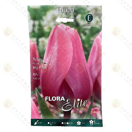 Tulip�n / Big Love / 10db