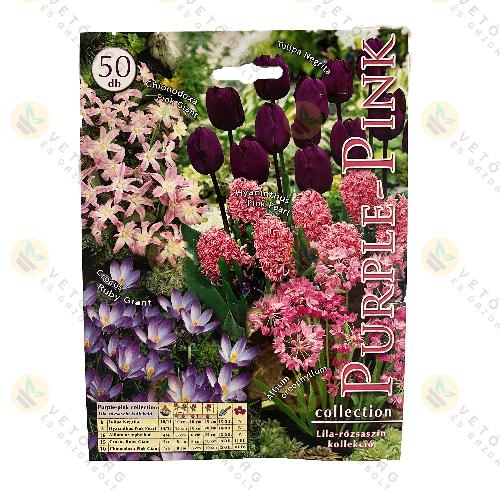 �szi Vir�ghagyma Kollekci� / Lila - R�zsasz�n / 50 db