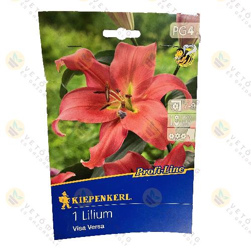 Liliomfa / Visa Versa / 1 db