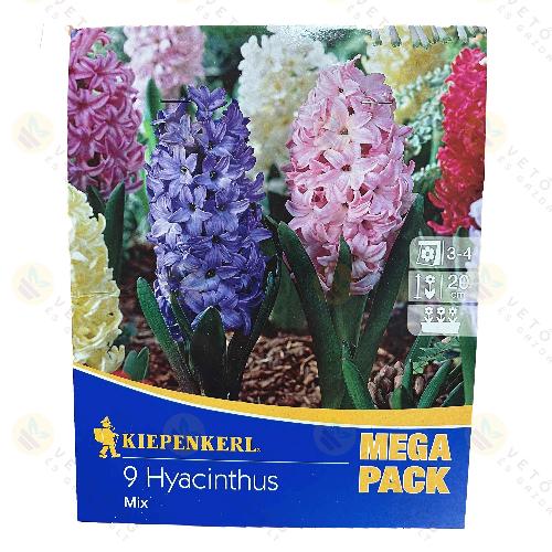 J�cint - Mega Pack -  Mix 9 db