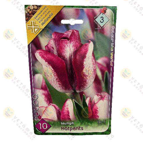 Tulipán - Hotpants 7 db