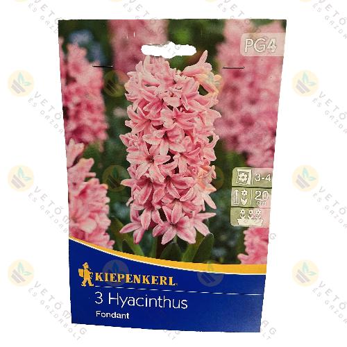 J�cint / Fondant / 3 db