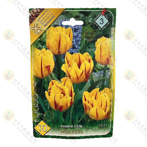 Tulip�n - Monsella 10 db