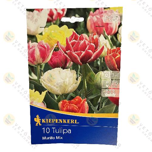 Tulip�n / Murillo - Mix / 10 db