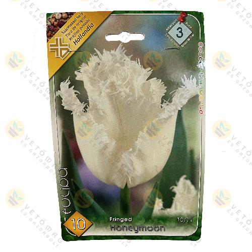 Tulip�n - Honeymoon 7 db