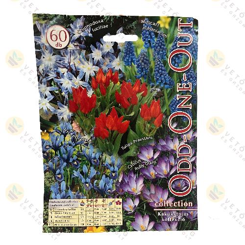 �szi Vir�ghagyma Kollekci� / Kakukktoj�s / 60 db
