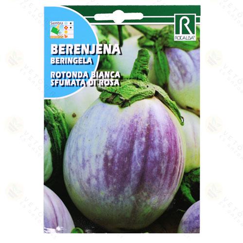 Padlizs�n - Rotonda 3 g