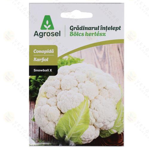 Karfiol - Snowball X 0,8 g