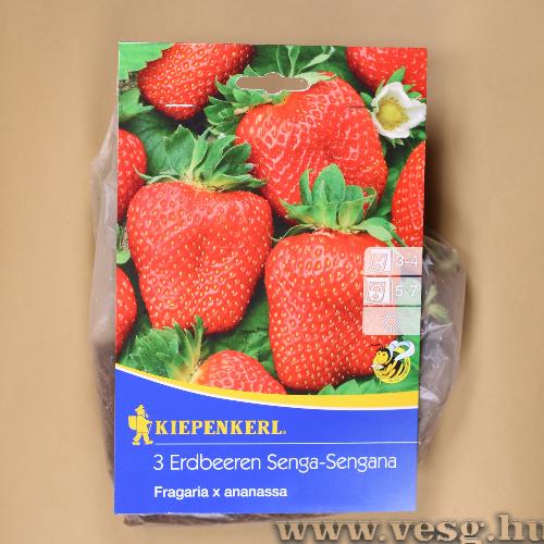 Eper - Senga Sengana 3 db