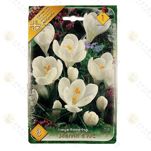 Kr�kusz - Jeanne d Arc  8 db