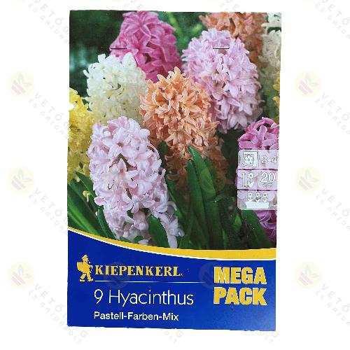 J�cint / Pastell - Sz�nkever�k / 9db