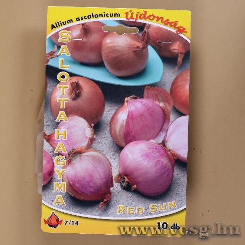 Salottahagyma - Red Sun 10 db