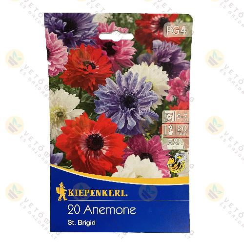 Szellrzsa / St. Brigid / 20 db