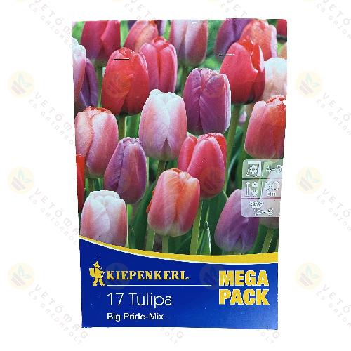 Tulip�n - Mega Pack - Big Pride Mix 18 db