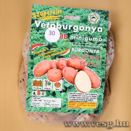 Vetburgonya Minigum / Balatoni Rzsa / 30szem