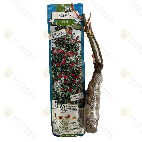 R�zsat� Fut�r�zsa / Kormun / 1 t�