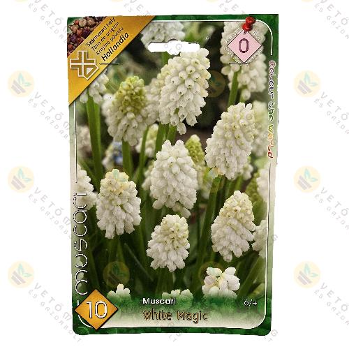 Gy�ngyike - White Magic 10 db