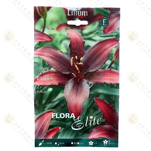 Liliom Ázsiai / Blacklist / 2db