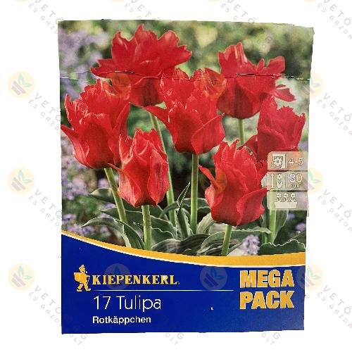 Tulip�n / Rotkappchen / 17 db