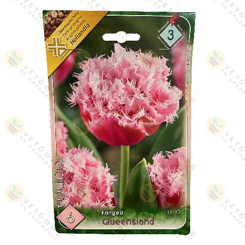 Tulip�n - Queensland 6 db