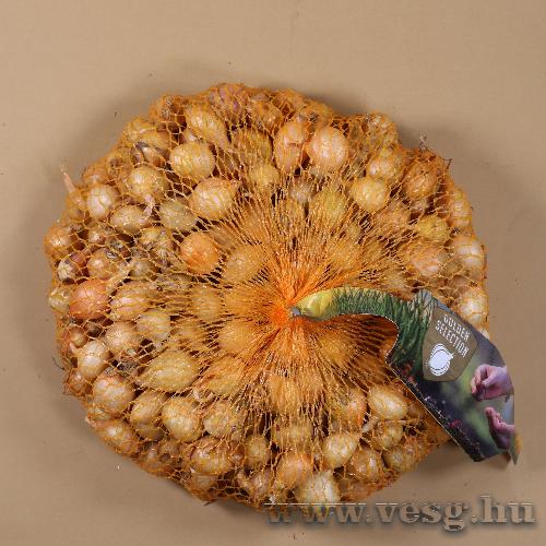 Dughagyma - Stuttgarti - 500 g