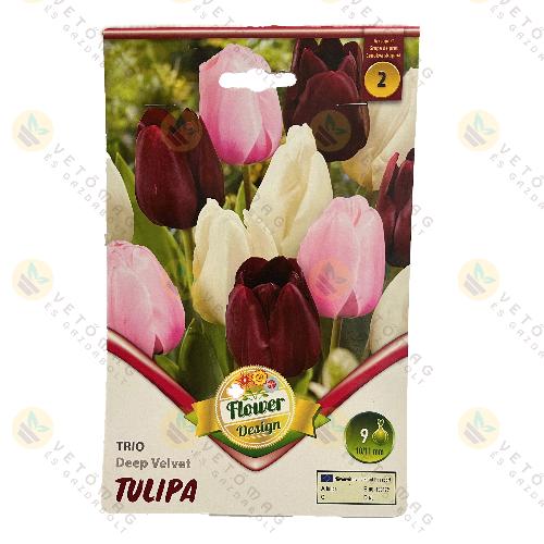 Tulip�n Trio - Deep Velvet 6 db