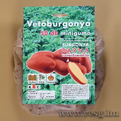 Vetburgonya Minigum / Barna / 50szem