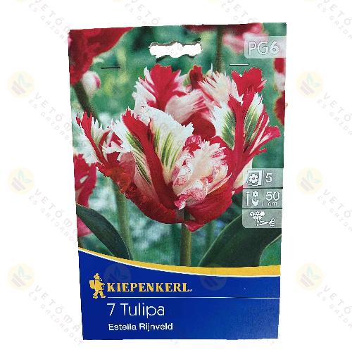 Tulip�n / Estella Rijnveld / 7db