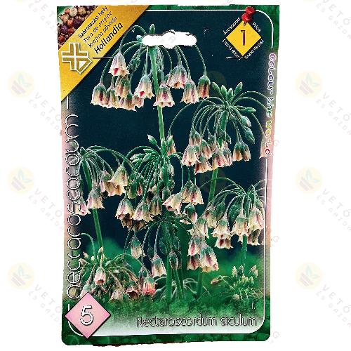 Bolg�r Nekt�rhagyma 5 db