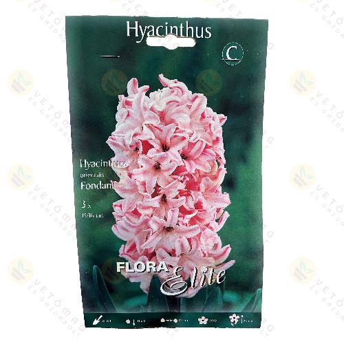 J�cint / Fondant / 3db