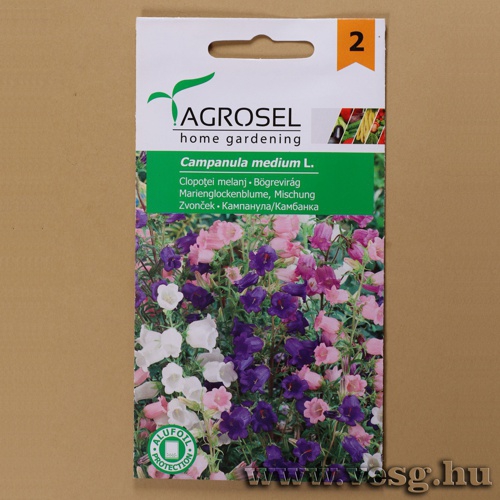 B�grevir�g - Sz�nkever�k 1g