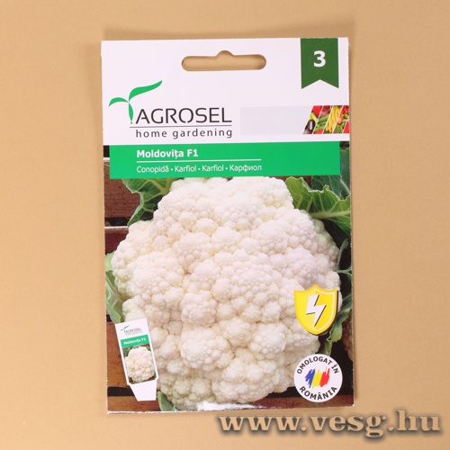 Karfiol - Moldovita F1 - 100 szem