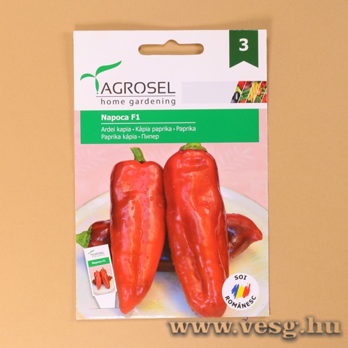 Paprika - Napoca F1 - 20 szem