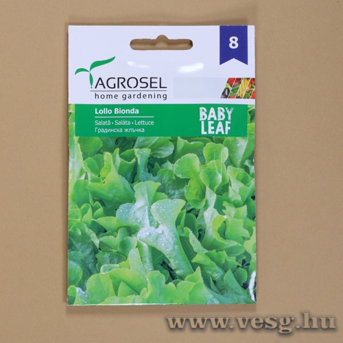 Sal�ta - Lollo Bionda 5 g