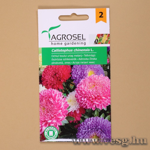 szirzsa - Teltvirg - Sznkeverk 1g