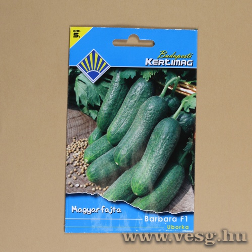 Uborka - Barbara F1 - 1 g