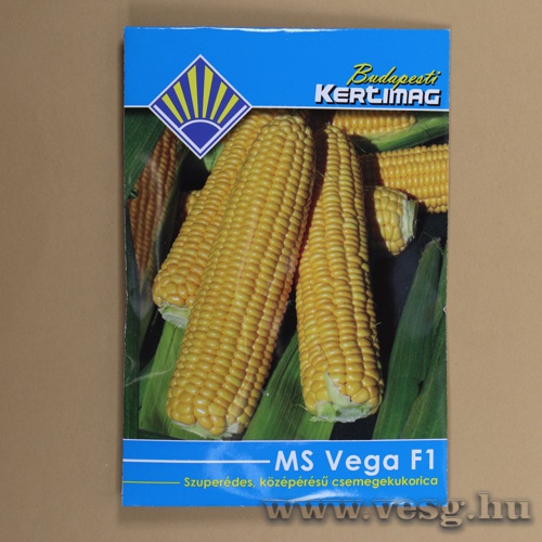 Csemegekukorica - MS Vega F1 - cca. 25 szem